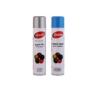 اسپری رنگ آبی روشن و نقره ای کاسپین مدل prefecional  حجم 300 میلی لیتر مجموعه 2 عددی