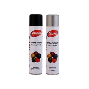 اسپری رنگ مشکی مات و نقره ای کاسپین مدل cas2 حجم 300 میلی لیتر مجموعه 2 عددی
