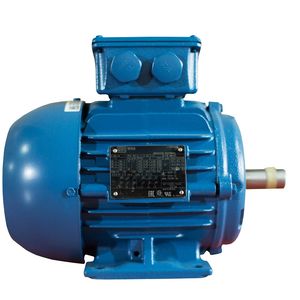 الکتروموتور وگ مدل w22