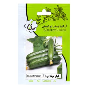 بذر  خیار بوته ای f1 آرکا بذر ایرانیان کد 198 ark