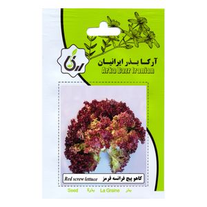 بذر  کاهو پیچ فرانسه قرمز آرکا بذر ایرانیان مدل b