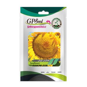 بذر آفتابگردان خوراکی گلبرگ پامچال کد gpf 101