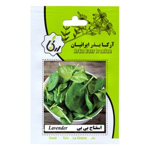 بذر اسفناج بی بی آرکا بذر ایرانیان کد ark 217