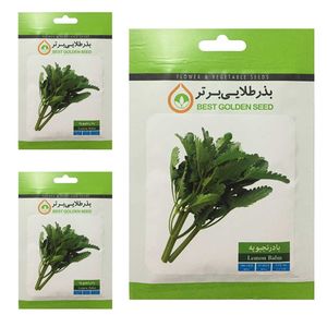 بذر بادرنجبویه بذر طلایی برتر کد btb 88 مجموعه 3 عددی