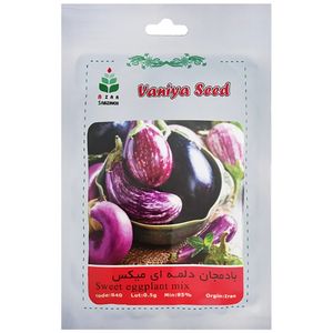 بذر بادمجان دلمه ای میکس آذر سبزینه مدل b410
