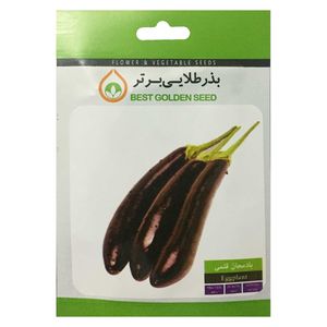 بذر بادمجان قلمی بذر طلایی برتر کد bzt 45