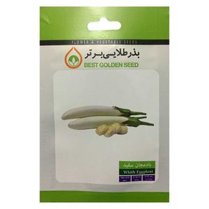 بذر بادمجان قلمی سفید بذر طلایی برتر کد bzt 47