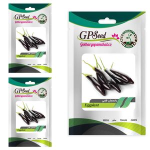 بذر بادمجان قلمی گلبرگ پامچال کد gpf 103 مجموعه 3 عددی