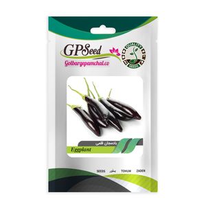 بذر بادمجان قلمی گلبرگ پامچال کد gpf 103
