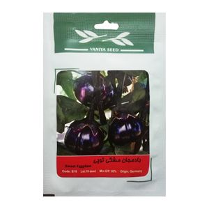 بذر بادمجان مشکی توپی وانیا سید مدل b18