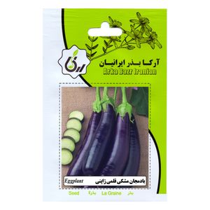 بذر بادمجان مشکی قلمی ژاپنی آرکا بذر ایرانیان کد ark 123