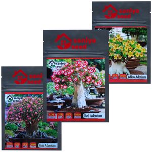 بذر بنسای آدنیوم سانیا سید مدل t5 مجموعه 3 عددی