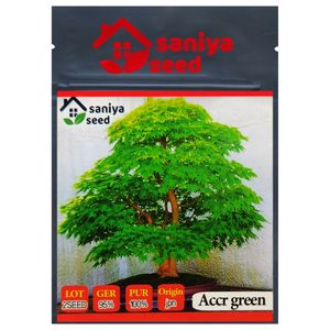 بذر بنسای افرا سبز ژاپنی سانیا سید مدل s5