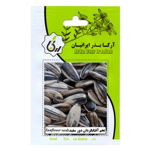 بذر تخم آفتابگردان دور سفید آرکا بذر ایرانیان کد ark 188