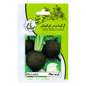 بذر ترب سیاه آرکا بذر ایرانیان کد ark 180