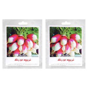 بذر تربچه دو رنگ گرین فارم کد 01 بسته 2 عددی