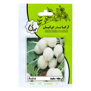 بذر تربچه سفید آرکا بذر ایرانیان کد ark 189