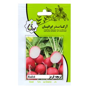 بذر تربچه قرمز آرکا بذر ایرانیان کد ark 199