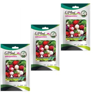 بذر تربچه میکس گلبرگ پامچال کد gpf 331 مجموعه 3 عددی