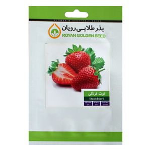 بذر توت فرنگی بذر طلایی رویان کد bzt 134