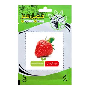 بذر توت فرنگی کاماروسا فصل سبز کد fsseed 33