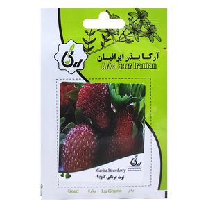 بذر توت فرنگی گاویتا آرکا بذر ایرانیان کد ark 121