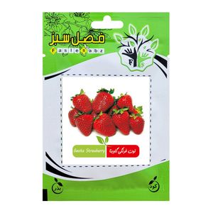 بذر توت فرنگی گاویتا فصل سبز کد fsseed 034
