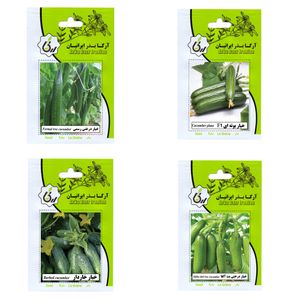 بذر خیار آرکا بذر ایرانیان کد 003 ark مجموعه 4 عددی