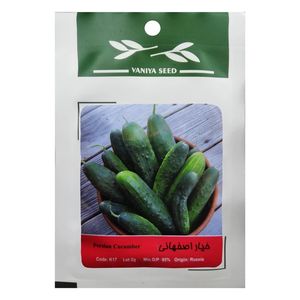 بذر خیار اصفهانی وانیا سید مدل bs1880