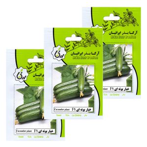 بذر خیار بوته ای f1 آرکا بذر ایرانیان کد 198 ark مجموعه 3 عددی