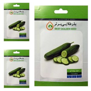 بذر خیار بوته ای بذر طلایی برتر کد btb 53 مجموعه 3 عددی