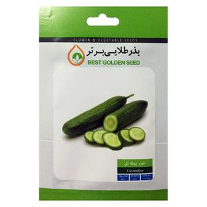 بذر خیار بوته ای بذر طلایی برتر کد bzt 53
