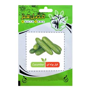 بذر خیار بوته ای فصل سبز کد seed 010