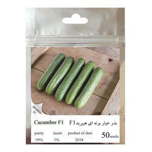 بذر خیار بوته ای هیبرید کد 111