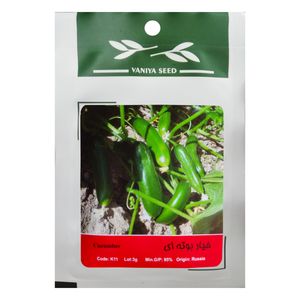 بذر خیار بوته ای وانیا سید مدل k11