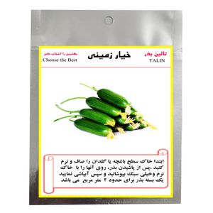 بذر خیار زمینی تالین بذر کد bzt 009