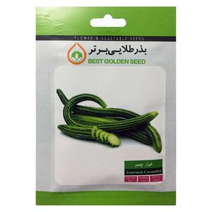 بذر خیار چمبر بذر طلایی برتر کد bzt 54
