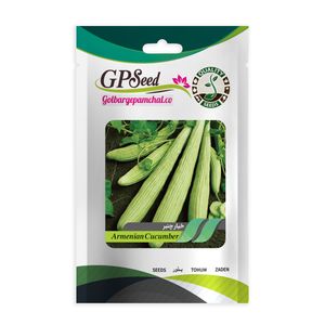 بذر خیار چنبر جی پی سید مدل gp1914