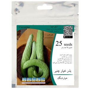 بذر خیار چنبر خیارشنگ مدل gl25