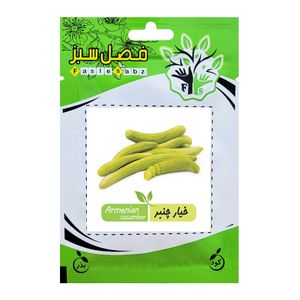 بذر خیار چنبر فصل سبز کد seed 015