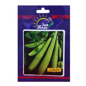 بذر خیار چنبر هورسان کد hsn 02