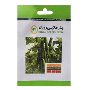 بذر خیار گلخانه ای درختی بذر طلایی رویان کد bzt 163