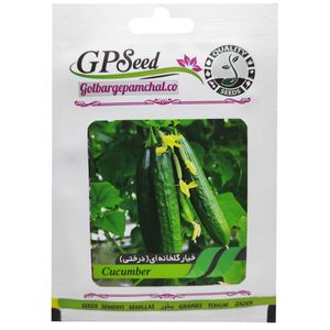 بذر خیار گلخانه ای درختی گلبرگ پامچال کد gpf 174