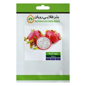 بذر دراگون فروت بذر طلایی رویان کد bzt 132