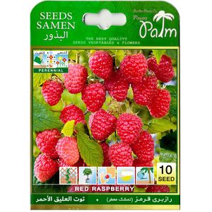 بذر رازبری قرمز پالم کد 10