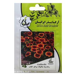 بذر رعنا زیبا پاکوتاه پرگل الوان آرکا بذر ایرانیان کد ark 030