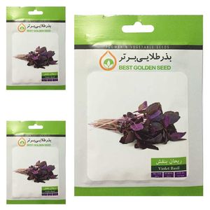 بذر ریحان بنفش بذر طلایی برتر کد btb 94 مجموعه 3 عددی