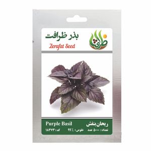 بذر ریحان بنفش مدل bz18373