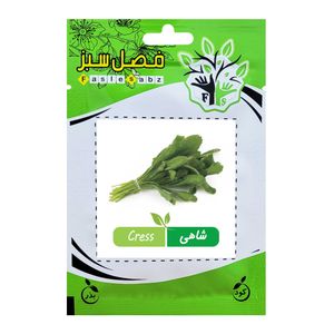 بذر شاهی فصل سبز کد seed 004