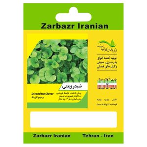 بذر شبدر زینتی دایکوندرا زربذر ایرانیان کد zbp 48